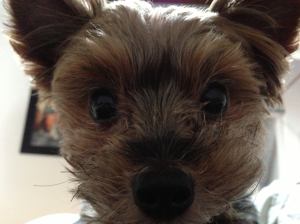 11059703_10206095076472453_5853320946707319595_o