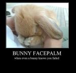 Bunny facepalm