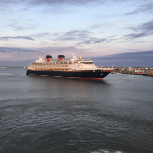 Liberty of the Seas.png