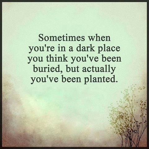 60ff0d6b99b3a01931fe742eecc54d84