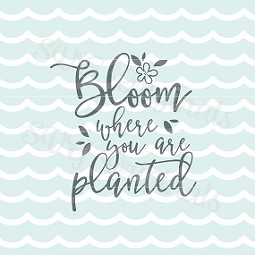 il_570xN.925756667_tlln